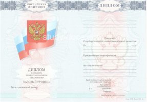Диплом техникума 2007-2010 в Королёве